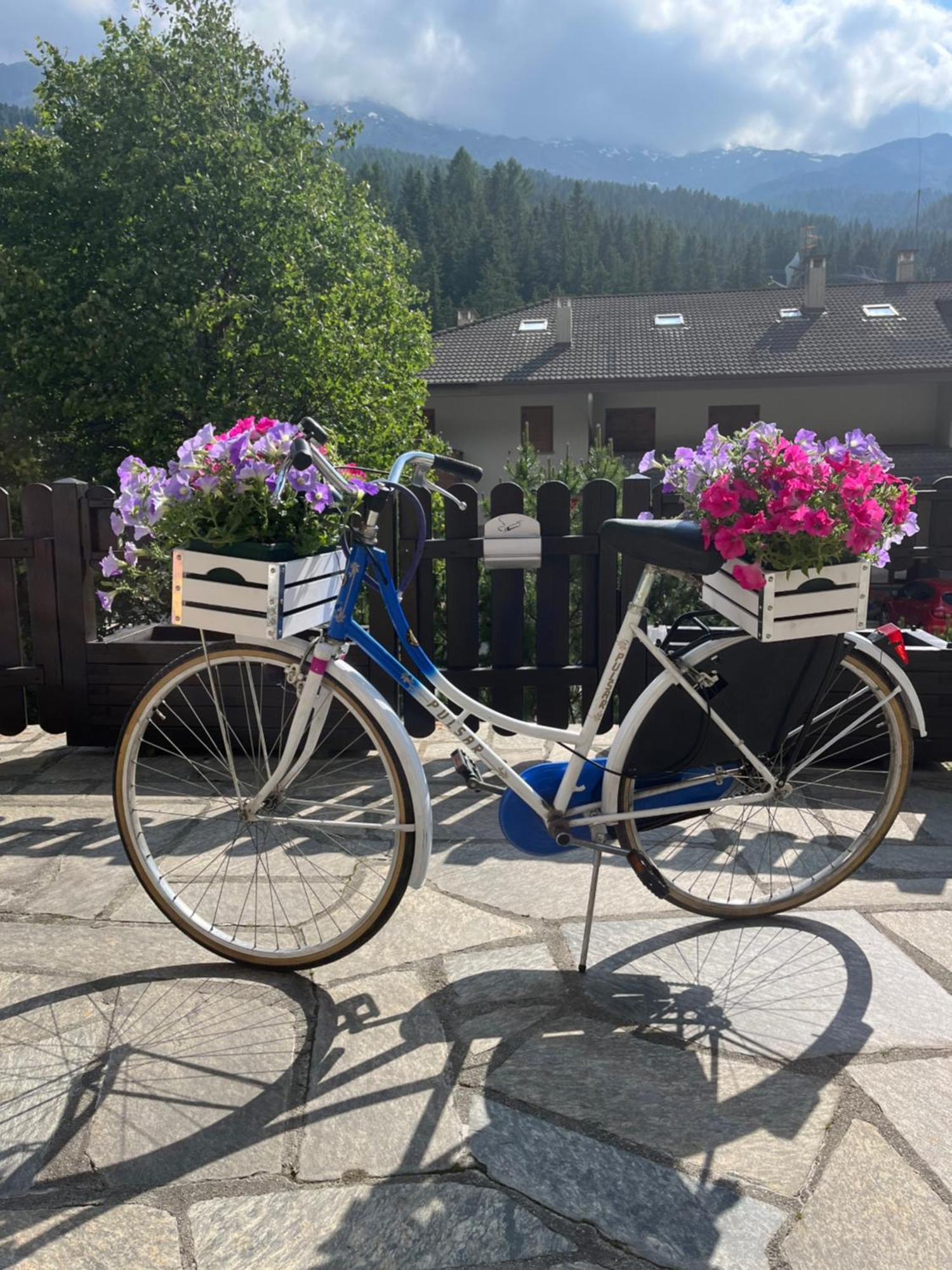Hotel Alle Tre Baite Santa Caterina Valfurva Eksteriør bilde